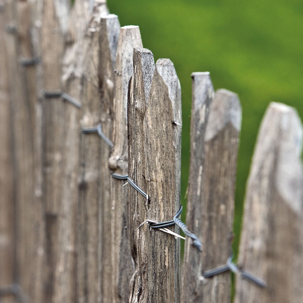 tuindeco:https://tuindeco.com/media/96/1f/e5/1733995871/675aad5f92dd1-01351994efefb28132265534788ba0626079e8e8_grpitm_tdi_v01_chestnut_fence_3wires_75mm_F_v01_0_202112.jpg