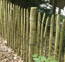 Kastanje pallisade Ø 10,0-12,0 x 300 cm, gepunt, geschild