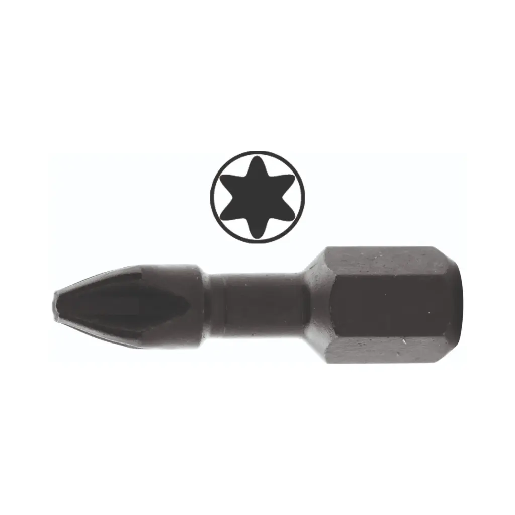 [HK002051] Bits Torx 30 25mm (10 stuks)