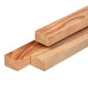 Douglas 365™ regel 50x70mm geschaafd (45x65mm)